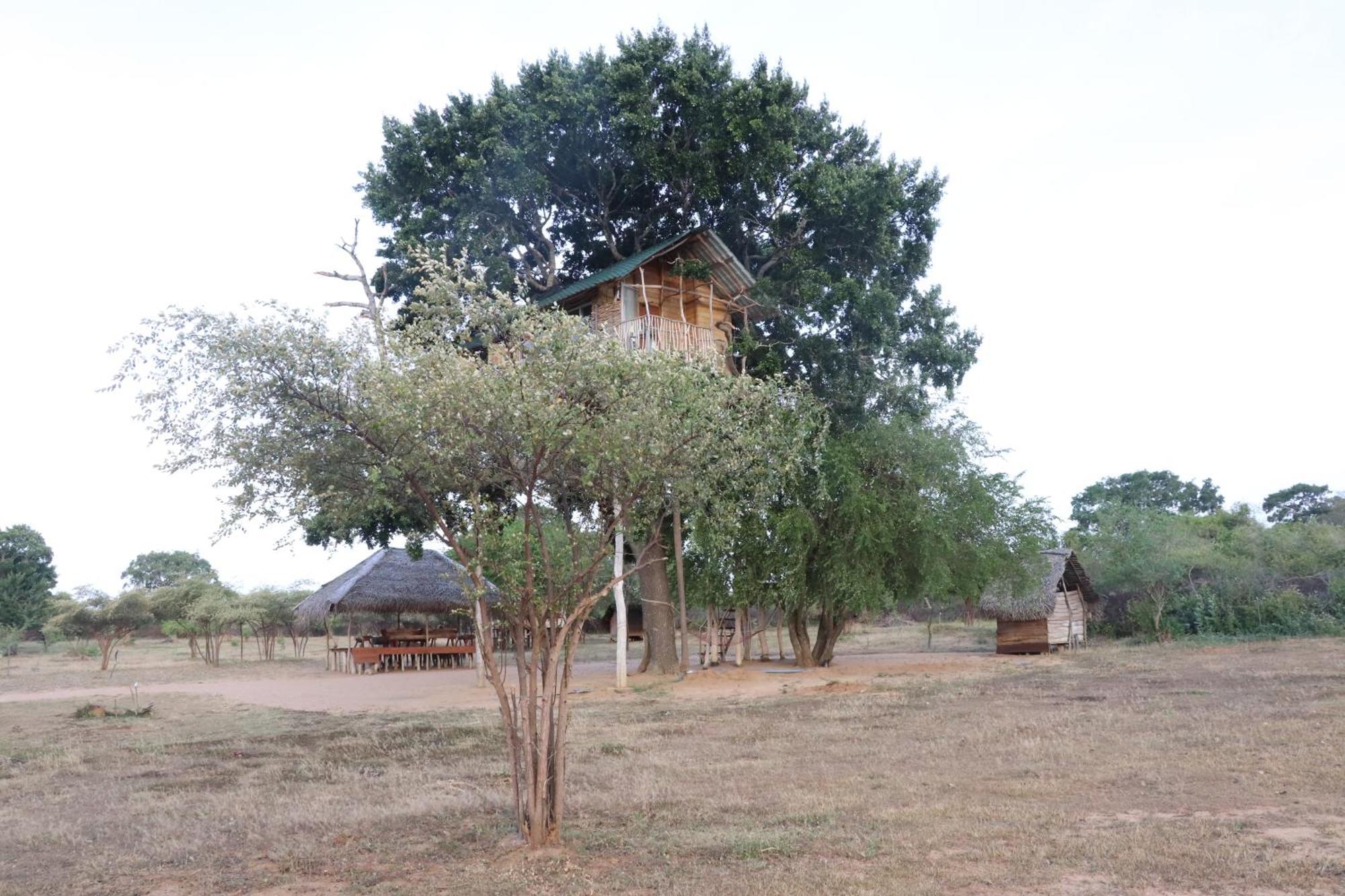 Hotel Yala Dream Park Esterno foto