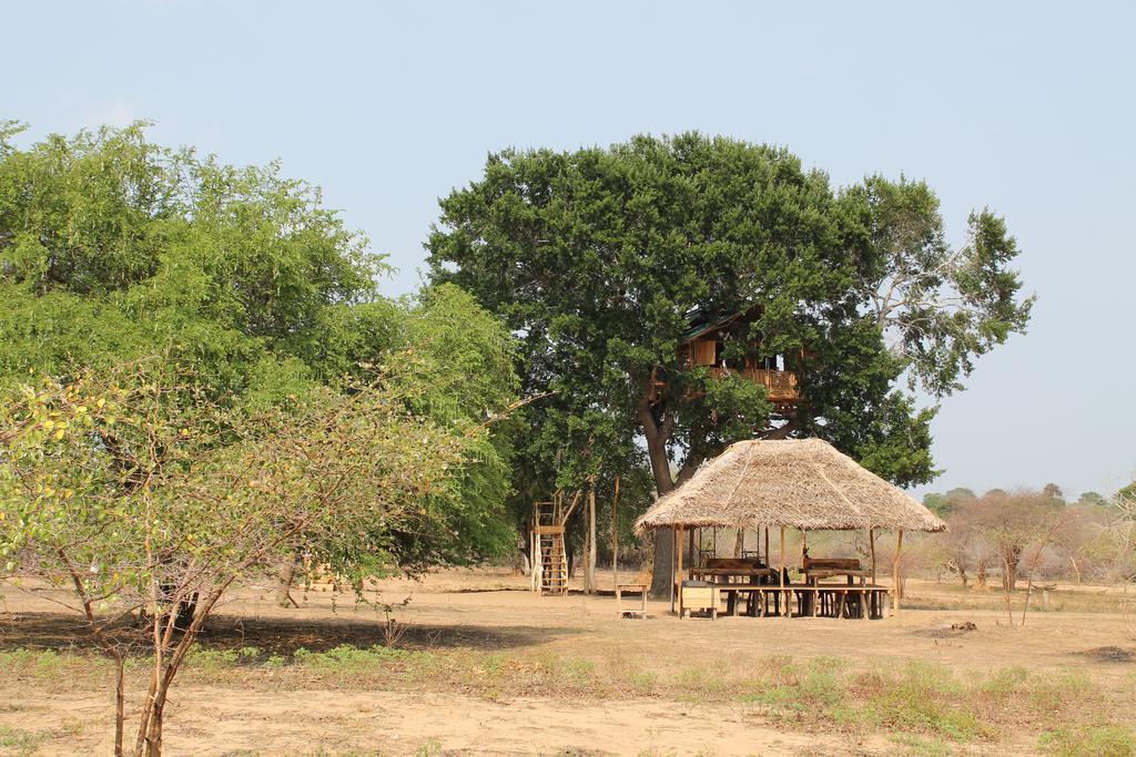 Hotel Yala Dream Park Esterno foto
