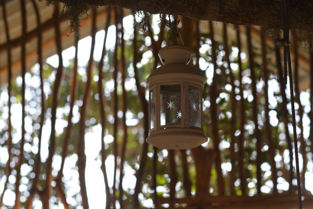 Hotel Yala Dream Park Esterno foto