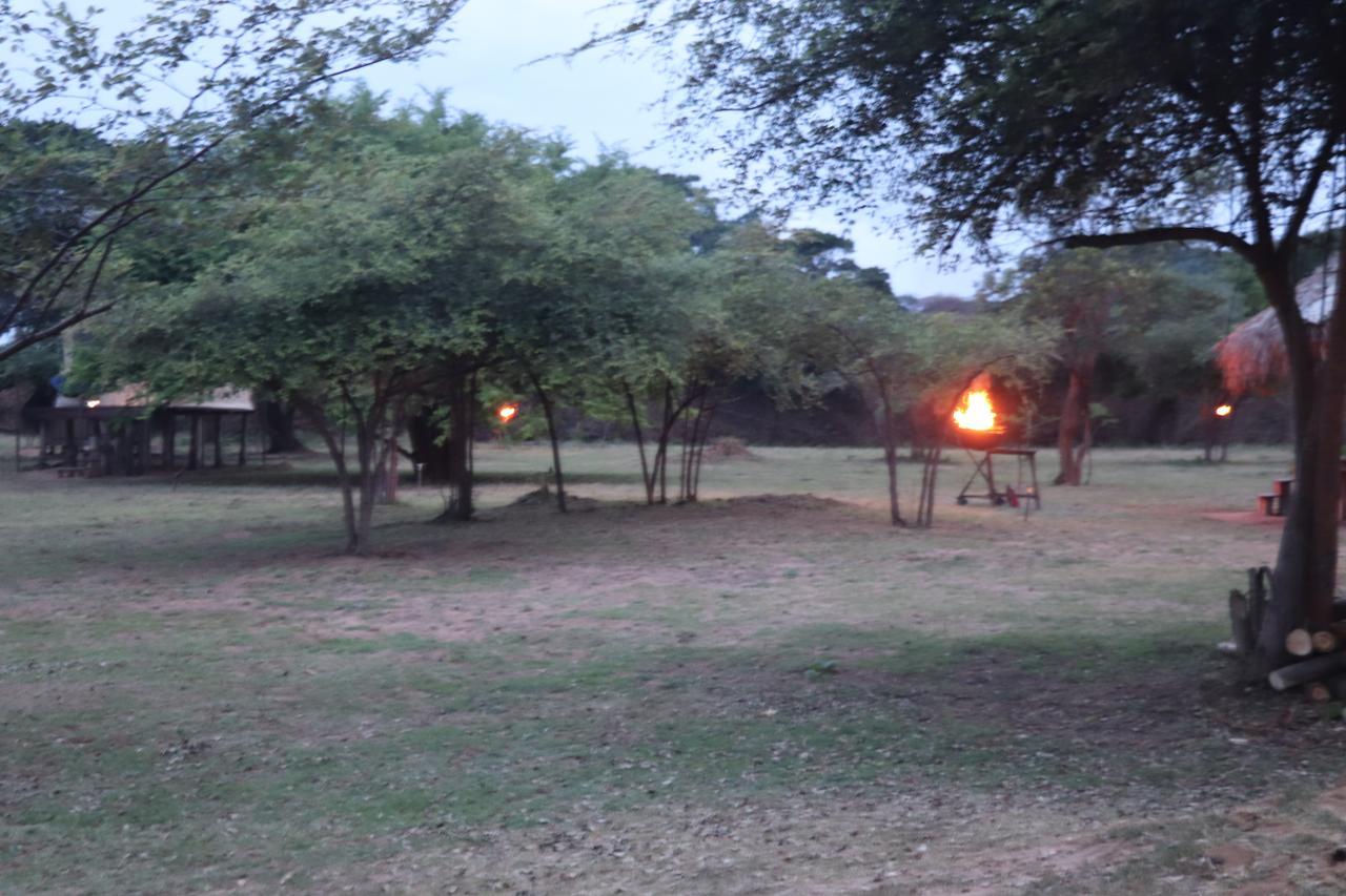 Hotel Yala Dream Park Esterno foto