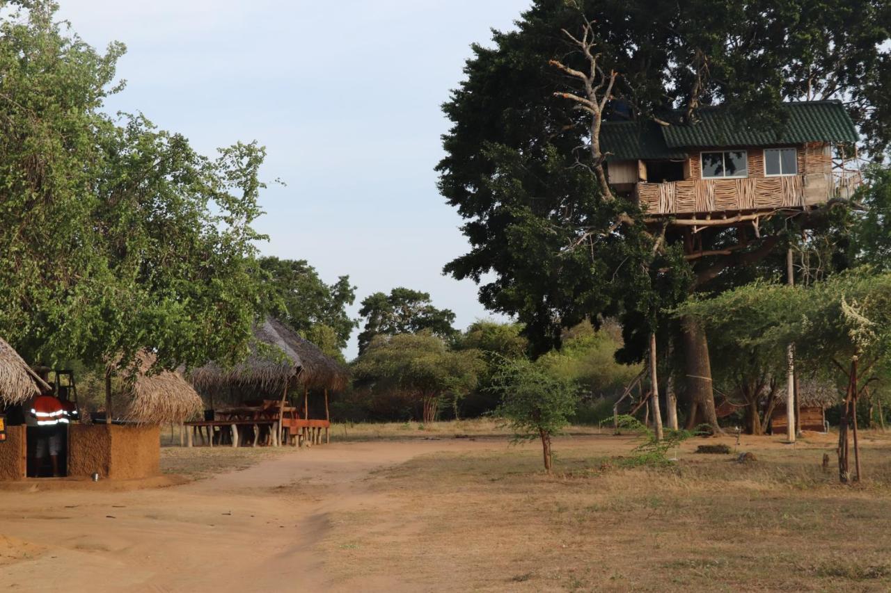 Hotel Yala Dream Park Esterno foto